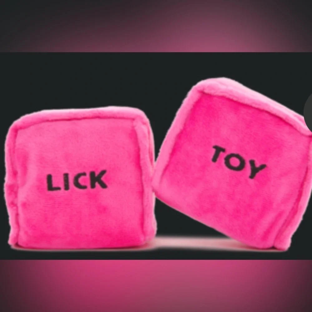 Bark Box After Dark Collection NEW naughty dog dice Dog toys squeak & crinkle